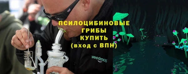 ПСИЛОЦИБИНОВЫЕ ГРИБЫ Белоозёрский