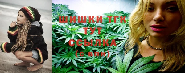 ПСИЛОЦИБИНОВЫЕ ГРИБЫ Белоозёрский