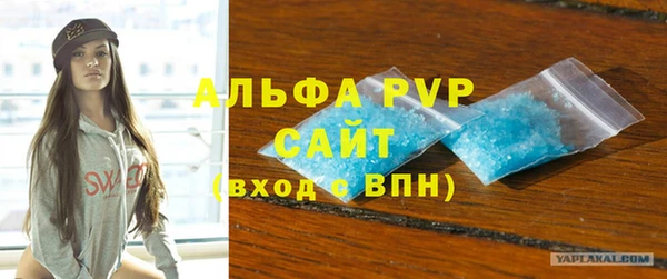 прущие грибы Белокуриха