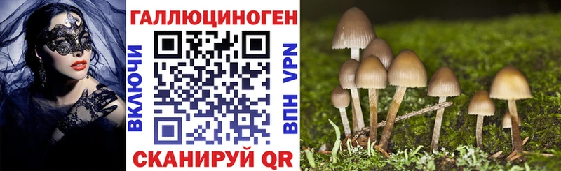 Псилоцибиновые грибы Psilocybine cubensis  Гай 