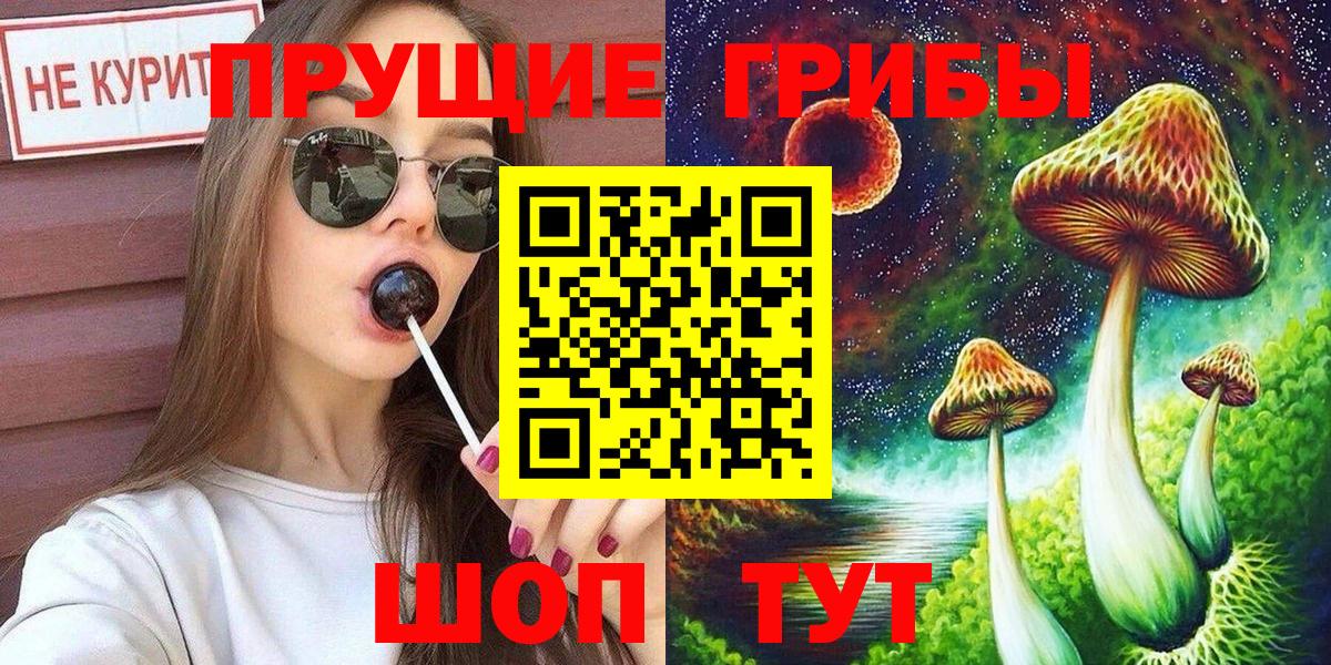Псилоцибиновые грибы мицелий Гай