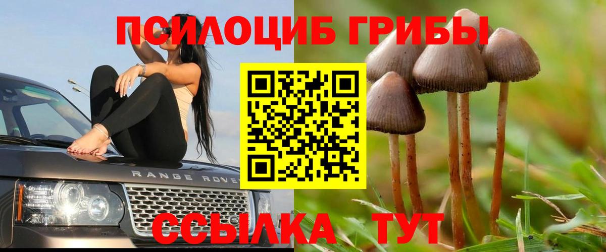 Гай  Галлюциногенные грибы MAGIC MUSHROOMS  где можно купить наркотик  Вход с VPN 